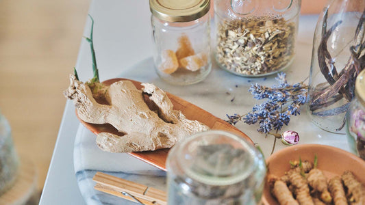 a table filled with plants and herbs