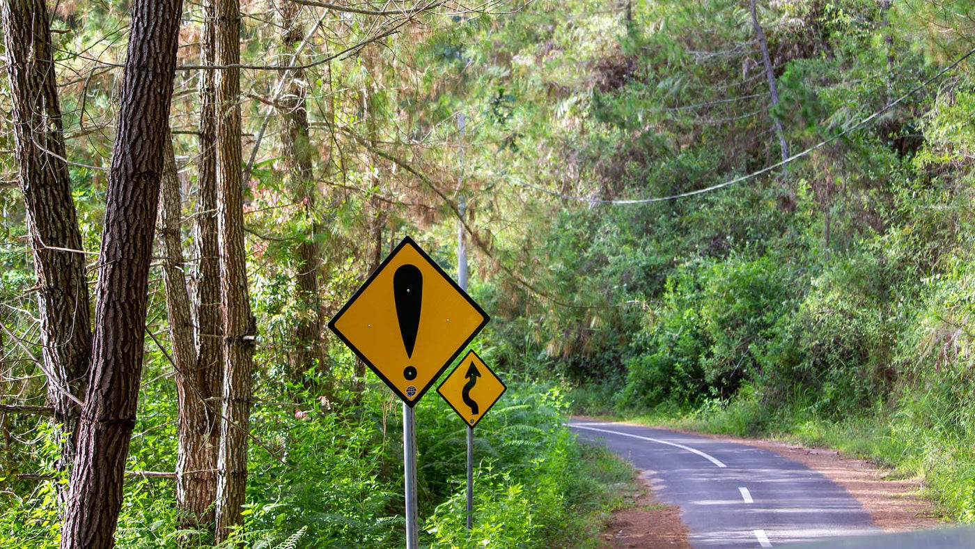 yellow and black road signs at the side of the road in a forest