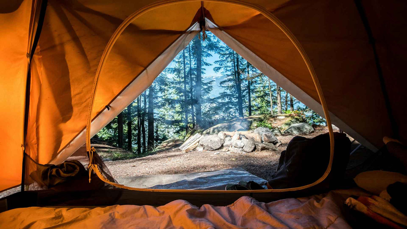View from inside a tent to the forest outside