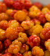 Sunberry