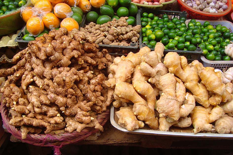 bundles of ginger root