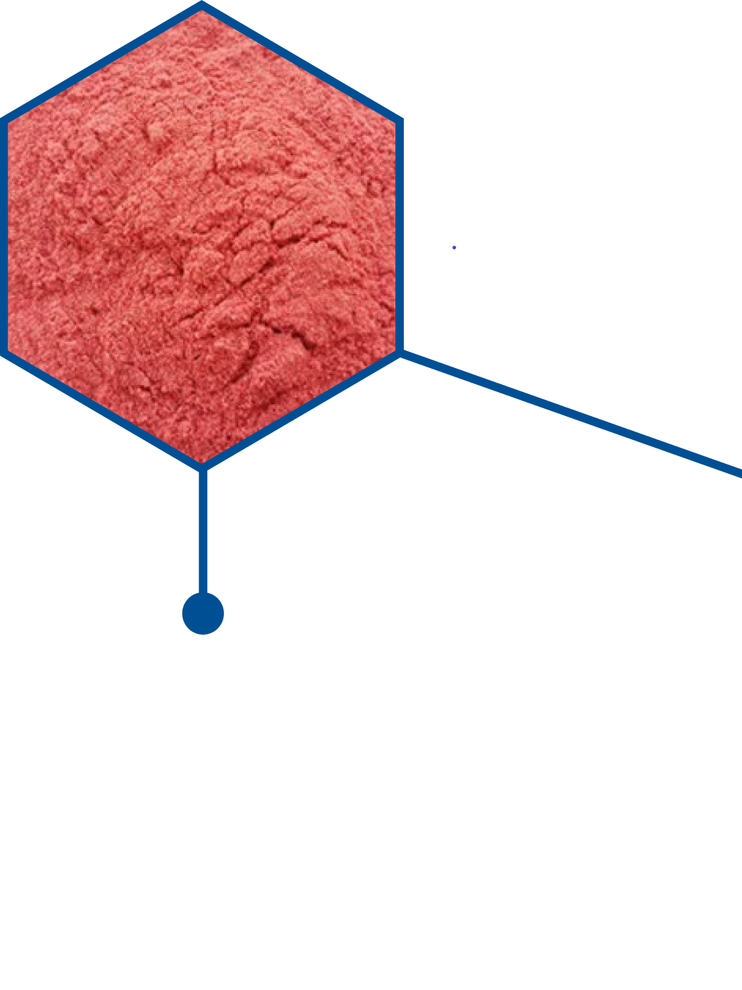 WATERMELON JUICE POWDER