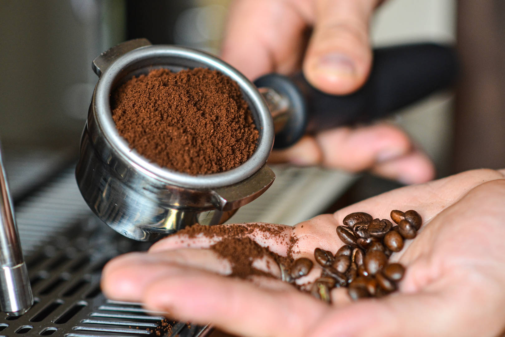 A pure coffee powder from the portafilter poured to a person's hand while it holds several coffee beans.