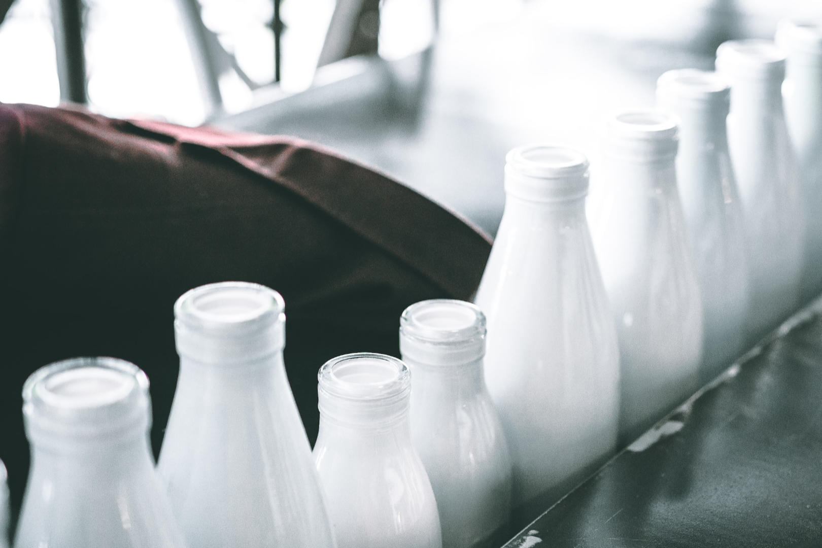 A line of several milk in glass bottles.