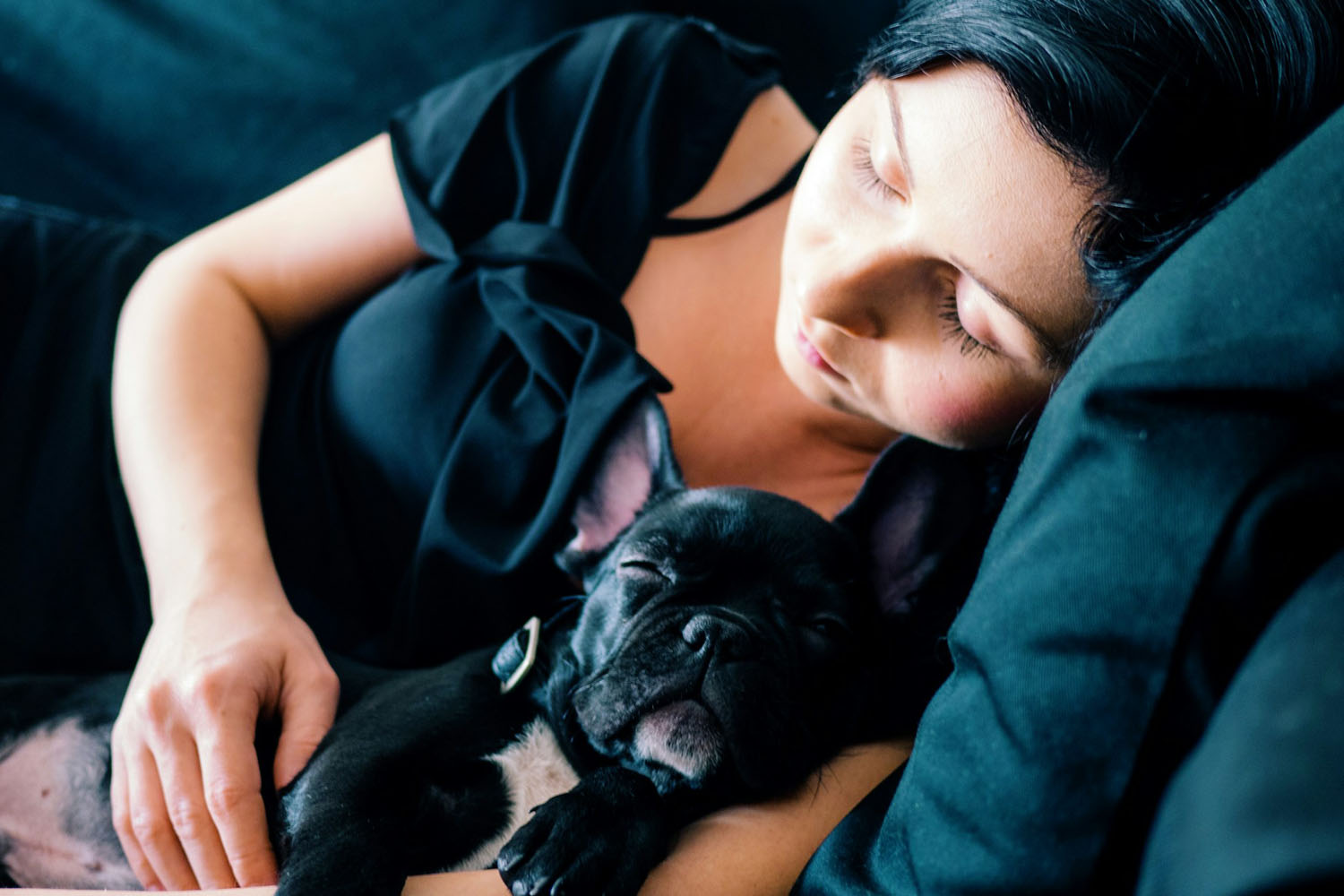 Woman sleeping on couch next to black French bulldog