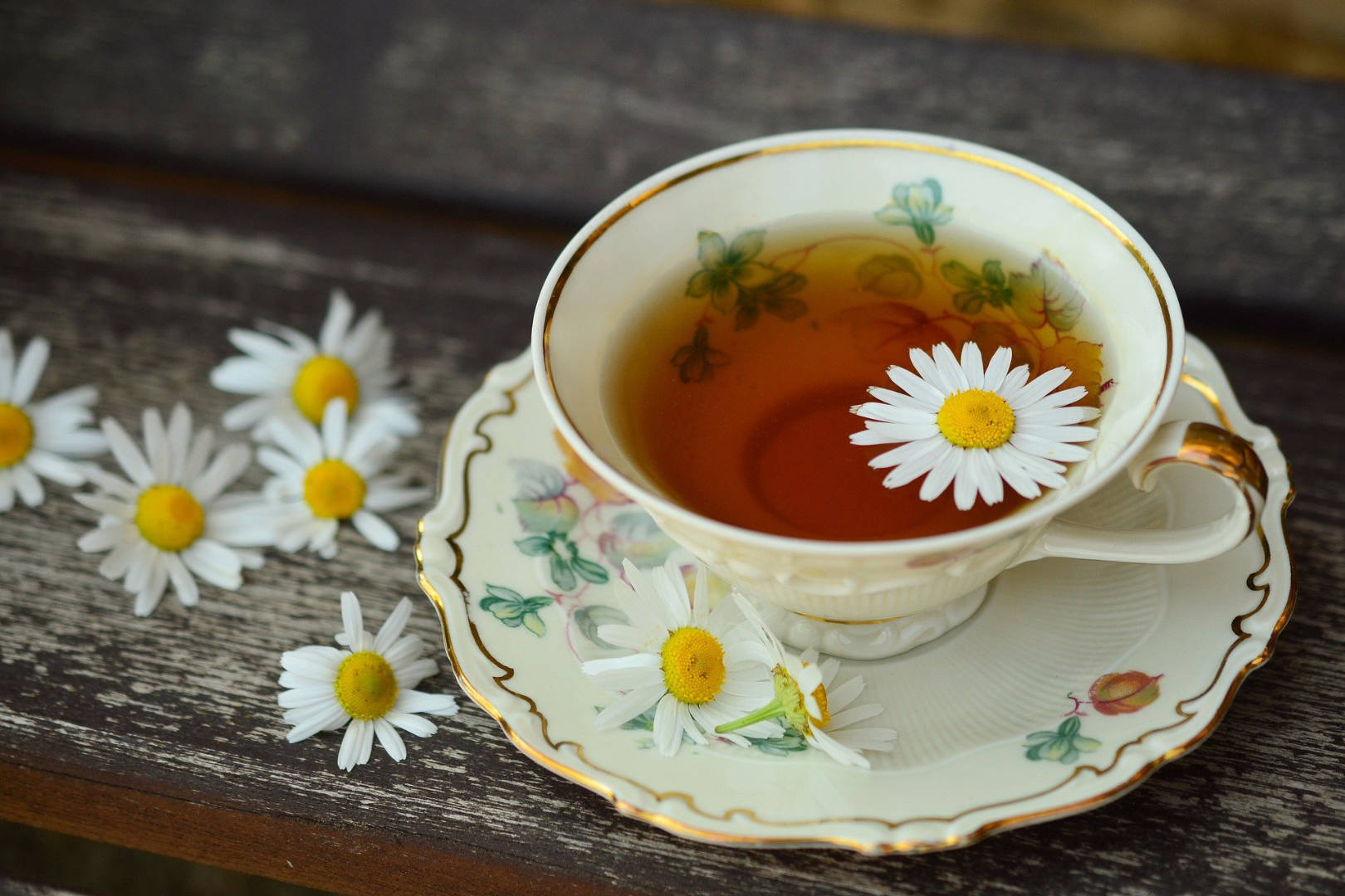 A cup with chamomile tea with daisies scattered around it.