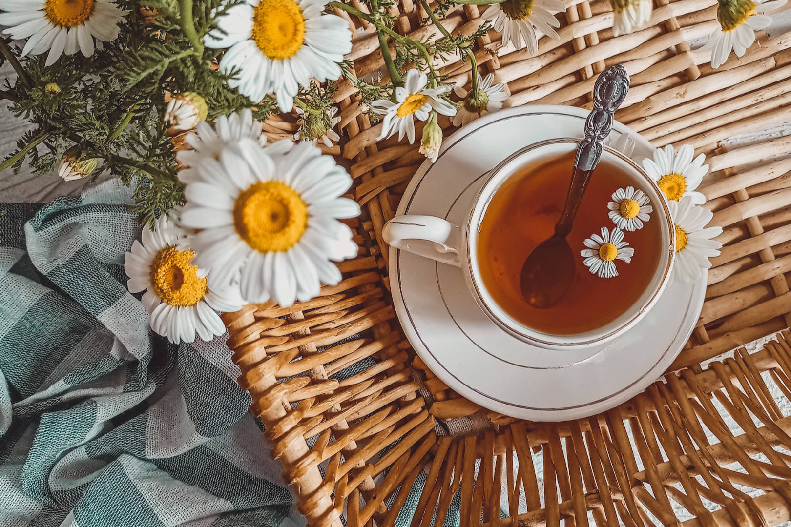 chamomile tea in a gold rim teacup and chamomile flowers scattered around it
