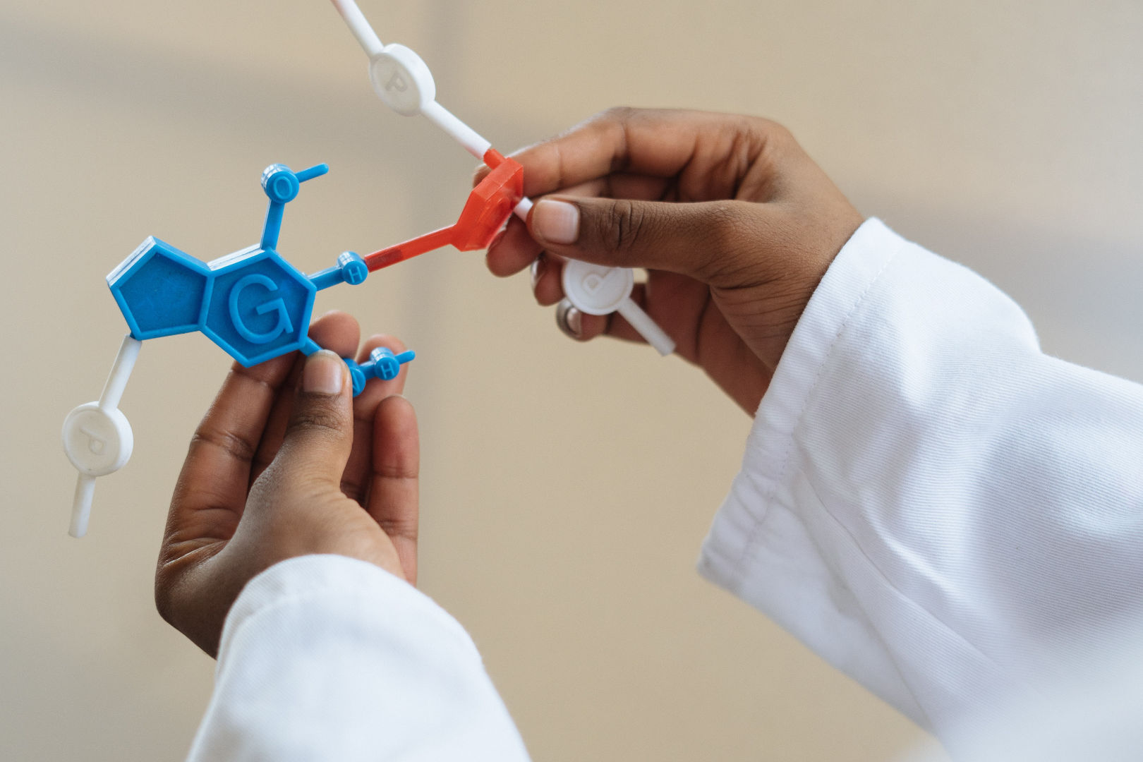 A scientist holding a molecule plastic model.