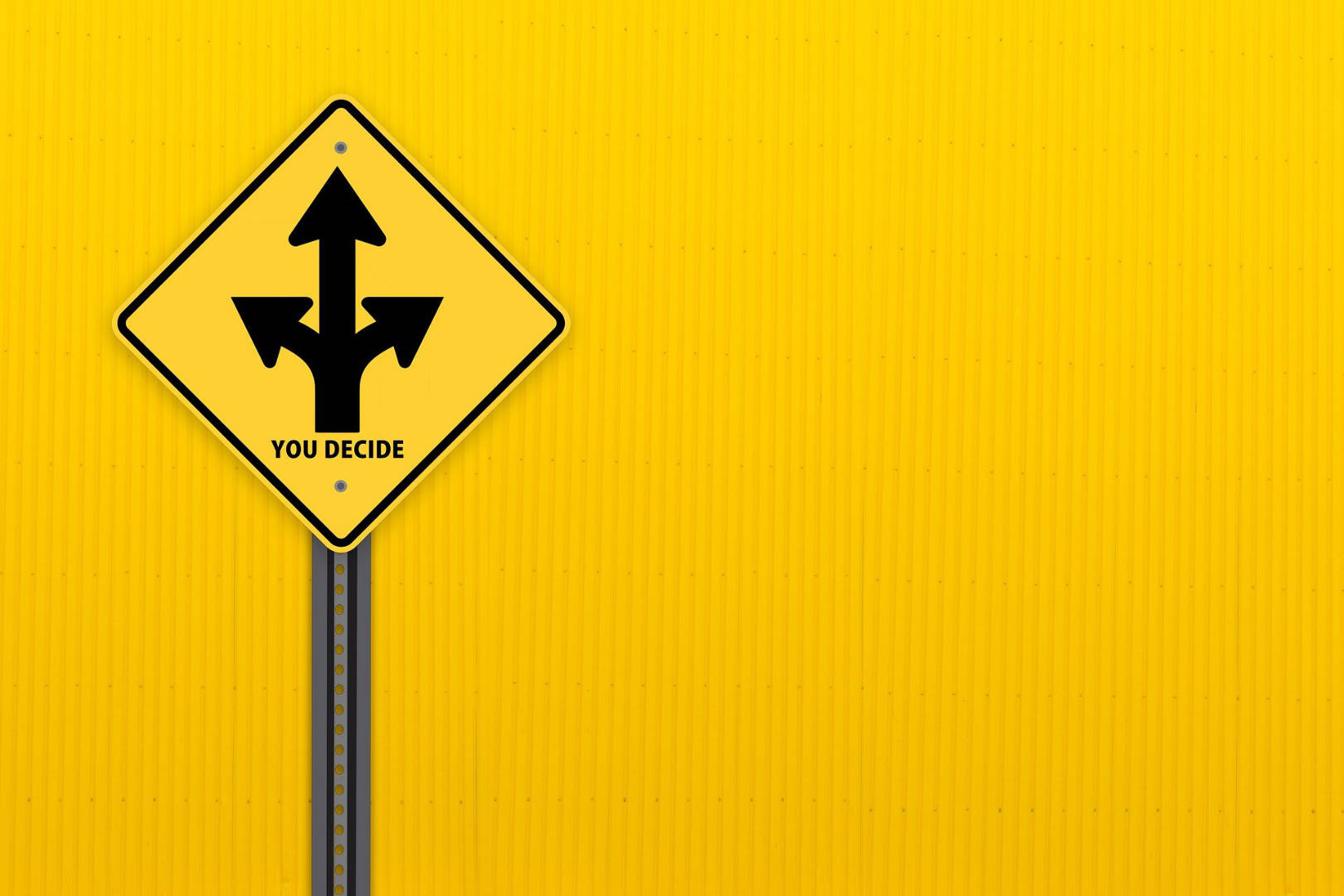 You decide sign direction in a bright yellow background.