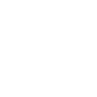 Organic Fruit Flavours