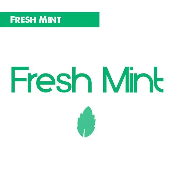 VaporFi Fresh Mint vape juice logo